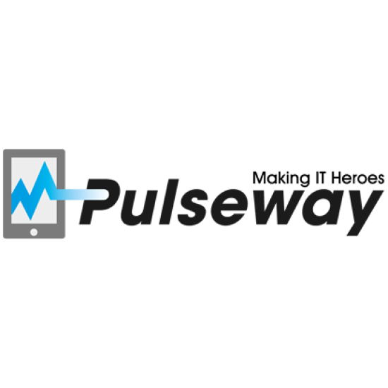 Pulseway RMM (1 Unit)